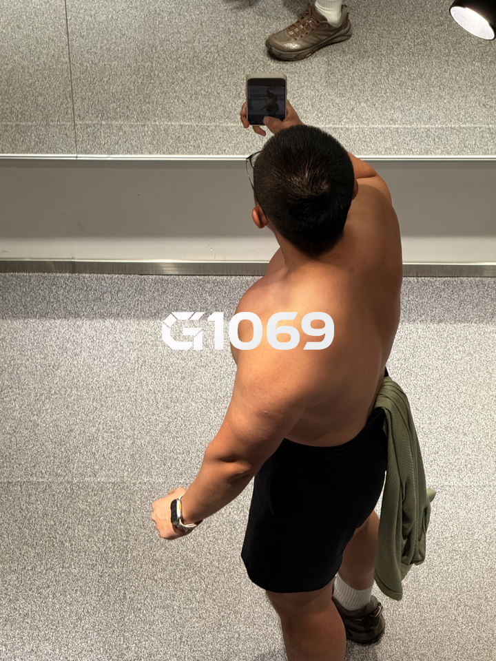 2026-07-28_17.33.34_Dodo_这个胸背摸着怎么样？_2.png